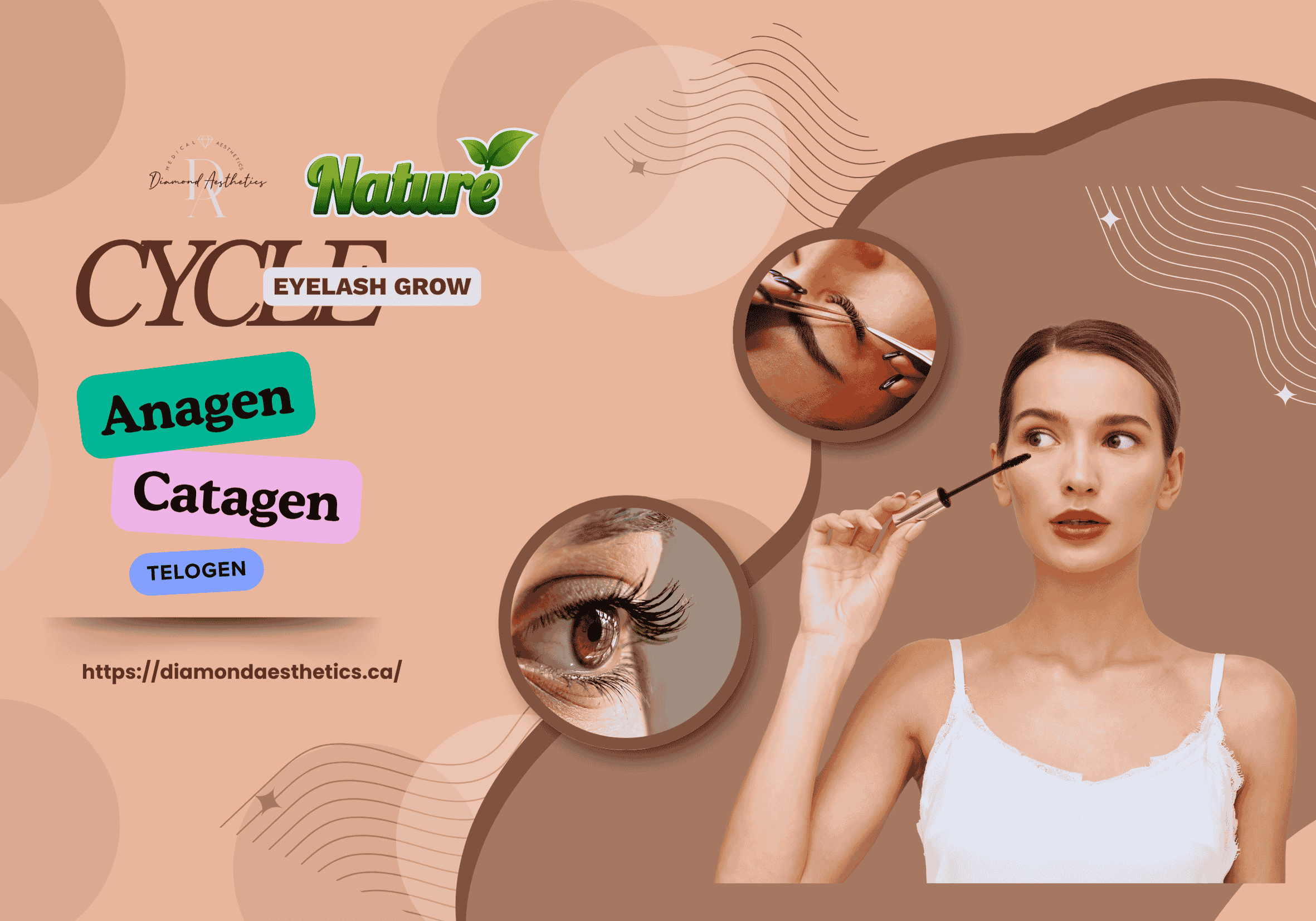 Understanding the Natural Eyelash Growth Cycle: Anagen, Catagen, Telogen